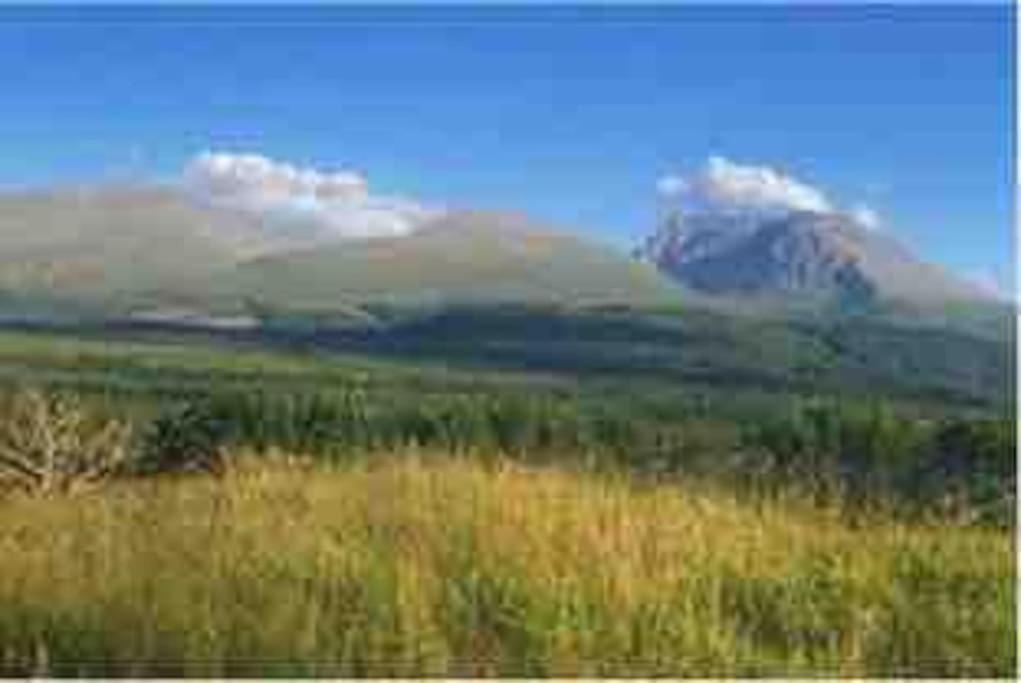 Wild Nurture Eco Luxury Offgrid Log Cabin Fort William Exterior foto