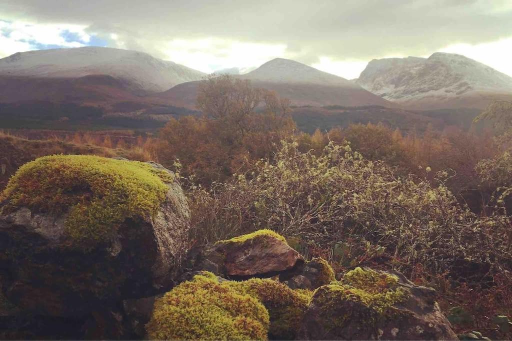 Wild Nurture Eco Luxury Offgrid Log Cabin Fort William Exterior foto